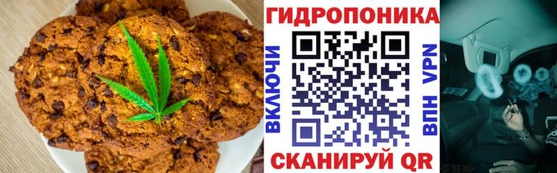 купить закладку  kraken маркетплейс  Печенье с ТГК марихуана  Заволжск 