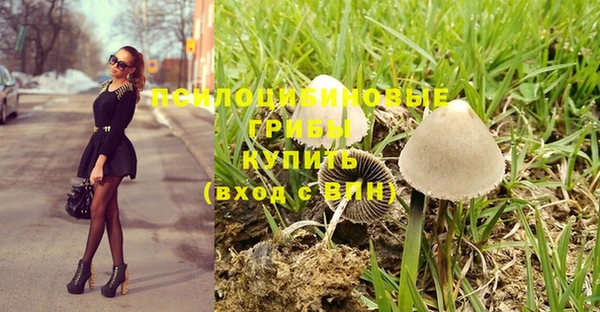 метадон Алексеевка