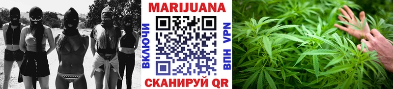 Конопля конопля  Заволжск 
